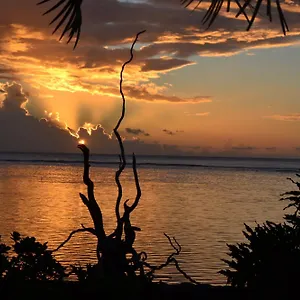 la-maison-dartiste-du-bord-de-mer.frenchpolynesia-hotels.com/